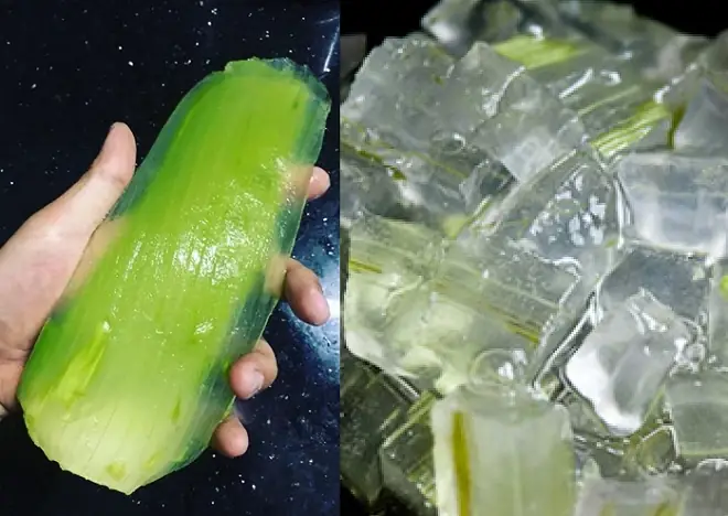 Video Đang Hot Video Đang Hot