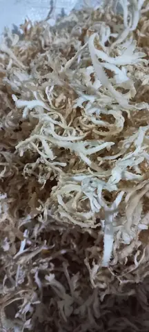 Nguyên Liệu Nấu Chè Chân Vịt Hay Rau Câu Chân Vịt: