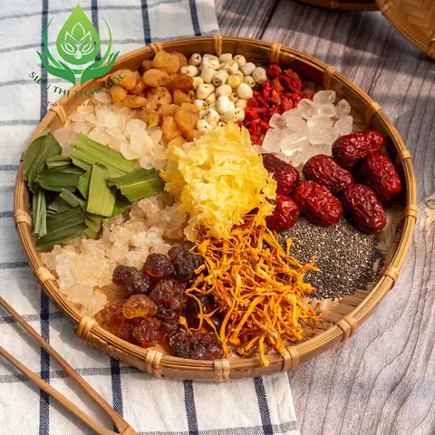 Đặc Điểm Nổi Bật