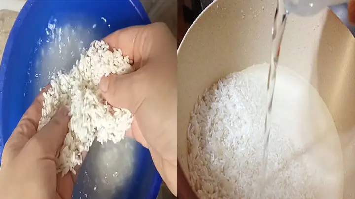 Bước 1Sơ chế nguyên liệu