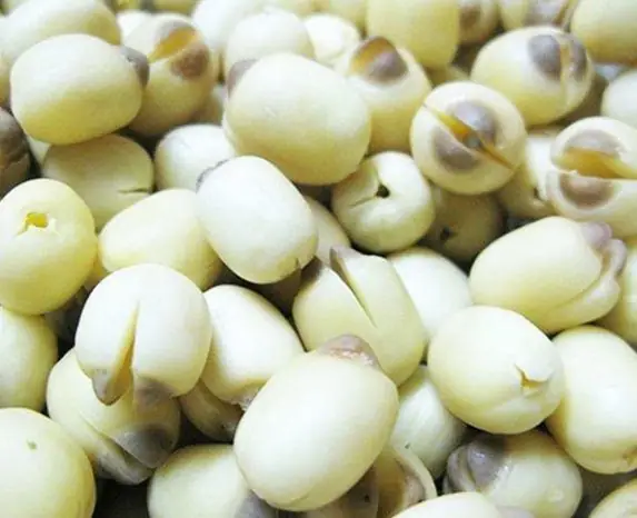 Cách Nấu Chè Hạt Sen Đơn Giản