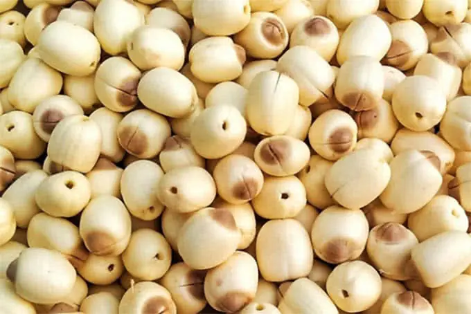 Đăng ký Mở nhà hàng online + Đăng bài trên PasGo Đăng ký Mở nhà hàng online + Đăng bài trên PasGo