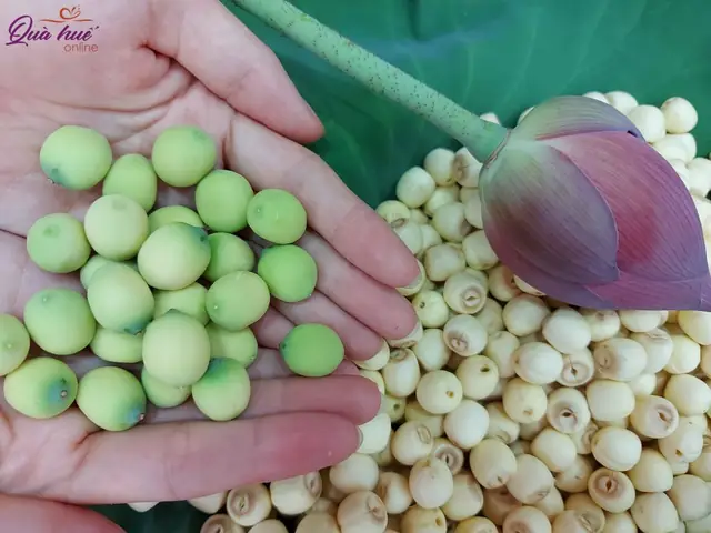 Hạt Sen Tươi Huế - Quà Huế Online - Đặc Sản Chính Gốc