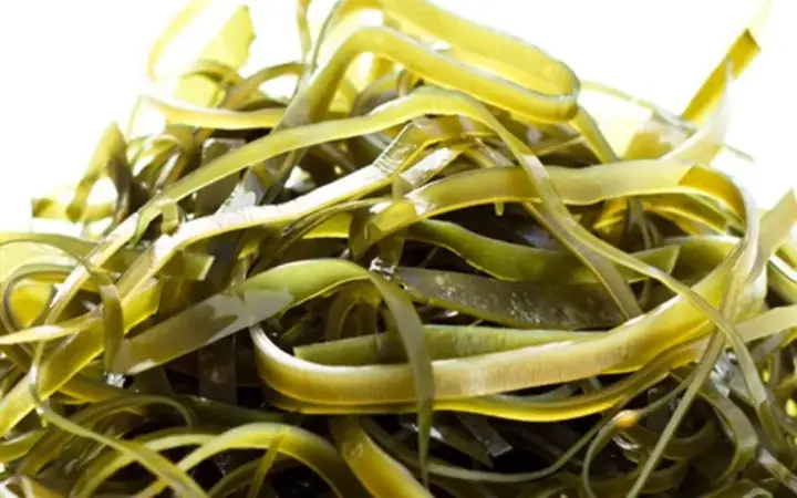 2.2. Công dụng của phổ tai đối với sức khỏe