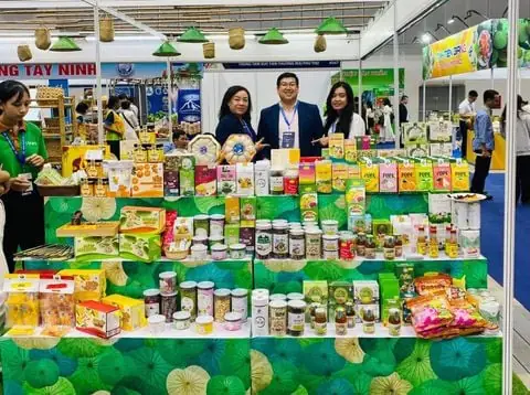 Hành Trình Thu Hoạch Sen Tại Hưng Thạnh – Bản Giao Hưởng Mở Màn Cho Mùa Sản Xuất Ecolotus