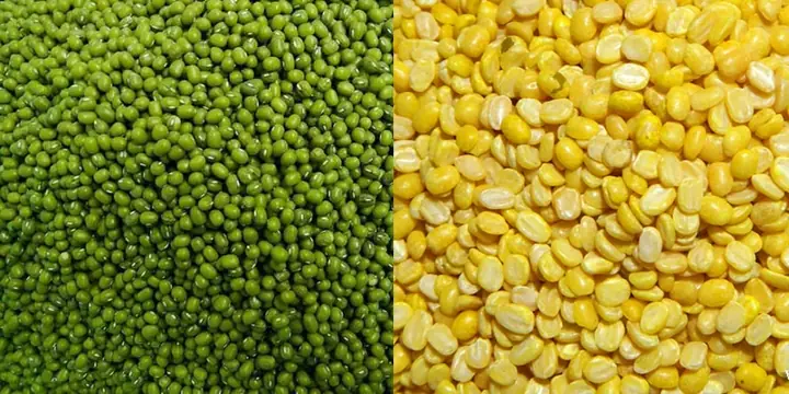 2.2 Cách chọn mua nguyên liệu