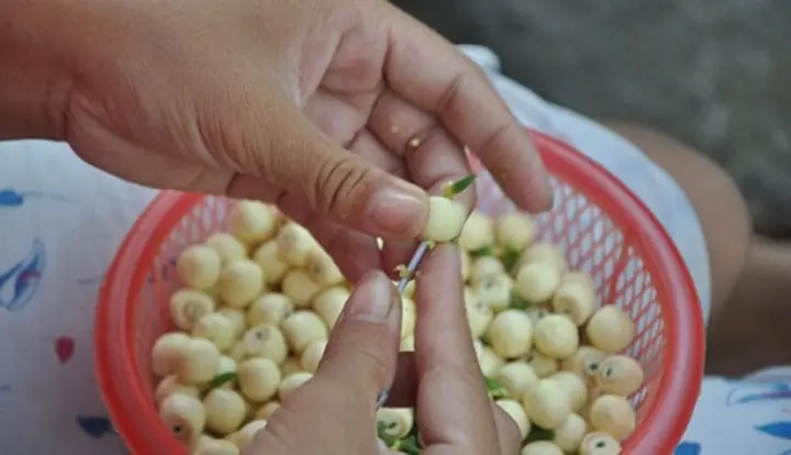 Sơ chế nguyên liệu