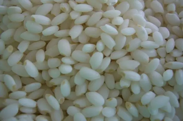 Cách Nấu Chè Kho Bằng Gạo Nếp Ngọt Mà Không Khé Cách Nấu Chè Kho Bằng Gạo Nếp Ngọt Mà Không Khé