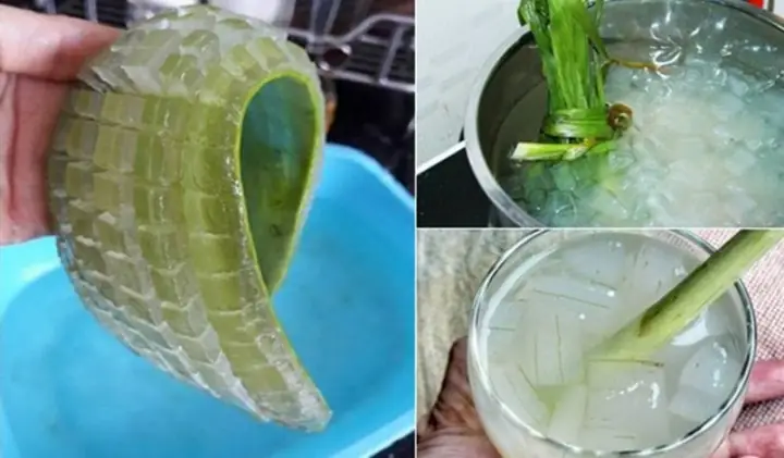 5.2. Hướng dẫn thực hiện 5.2. Hướng dẫn thực hiện