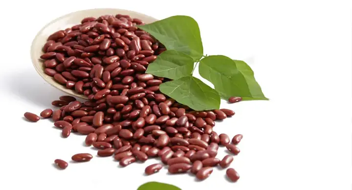 2. Nguyên Liệu Cần Chuẩn Bị Để Học Cách Nấu Chè Thập Cẩm Hà Nội 2. Nguyên Liệu Cần Chuẩn Bị Để Học Cách Nấu Chè Thập Cẩm Hà Nội