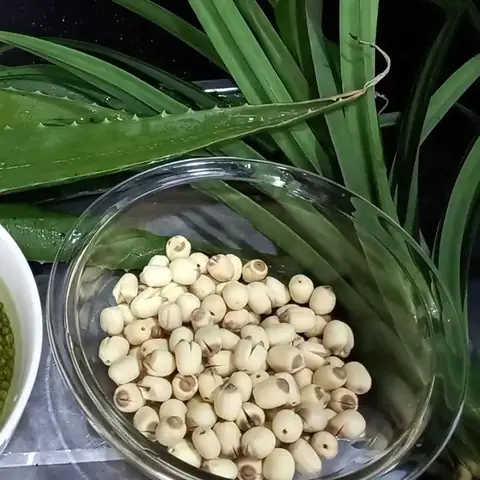 Sơ chế hạt sen và đậu xanh Sơ chế hạt sen và đậu xanh