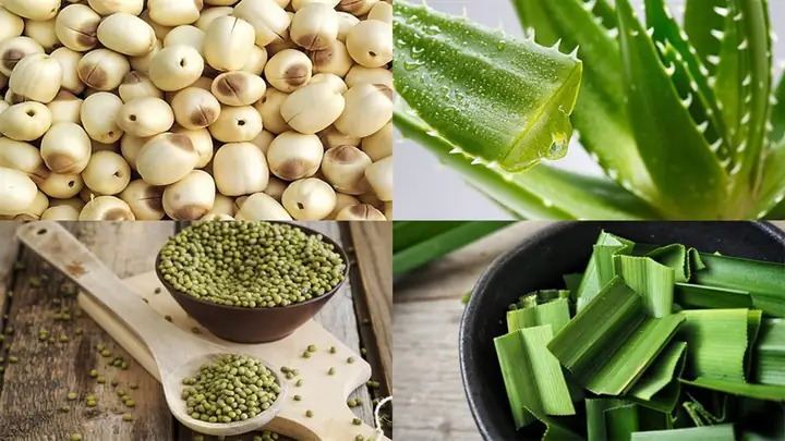 Cách chọn mua đậu xanh mẩy, ngon Cách chọn mua đậu xanh mẩy, ngon