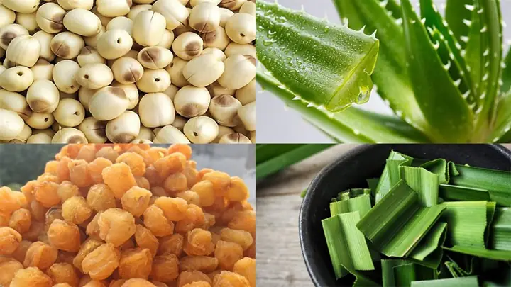 Mua nhãn nhục ở đâu? Mua nhãn nhục ở đâu?