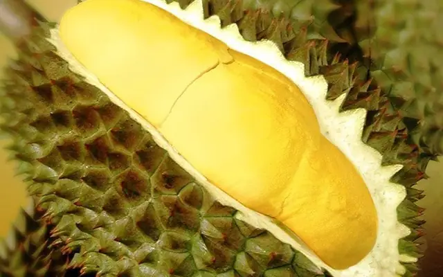 Chọn sầu riêng ngon để làm món chè sầu thơm ngon béo ngậy