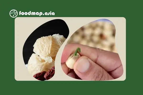 SƠ CHẾ: SƠ CHẾ: