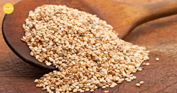 Bước 6: Thành Phẩm Và Bảo Quản