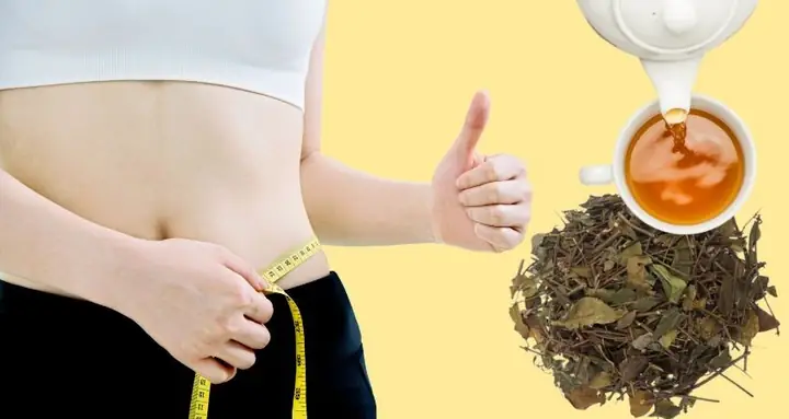 3Uống chè vằng giảm cân có hiệu quả không? 3Uống chè vằng giảm cân có hiệu quả không?