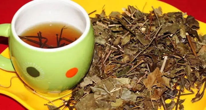 2Công dụng giảm cân của chè vằng 2Công dụng giảm cân của chè vằng