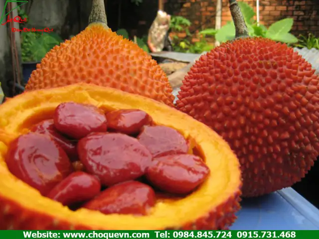 Cách nấu chè gấc Cách nấu chè gấc