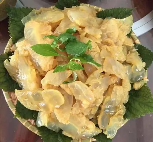 Gỏi Sứa Chấm Chẻo – Đặc Sản Vùng Biển Nghi Sơn Gỏi Sứa Chấm Chẻo – Đặc Sản Vùng Biển Nghi Sơn