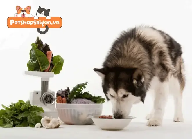 Cách làm thức ăn khô cho chó Cách làm thức ăn khô cho chó