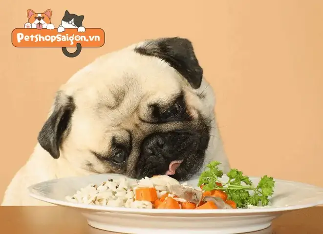 Cách làm thức ăn khô cho chó Cách làm thức ăn khô cho chó