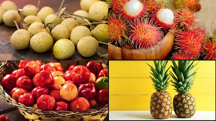 Nơi mua đường thốt nốt?