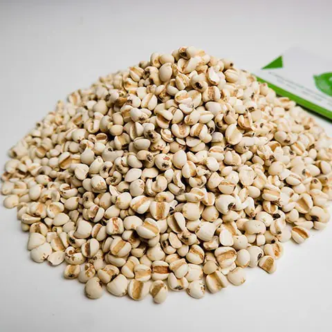 Cơm Độn Hạt Bo Bo Hay Hạt Bo Bo Nấu Cùng Khoai Mỳ Là Thứ Ăn "cứu Đói" Của Các Gia Đình Thời Kỳ Bao Cấp.