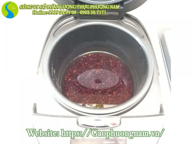 Nấu Gạo Lứt St Đỏ Bằng Nồi Cơm Điện