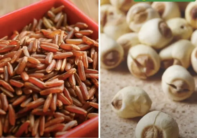 Chuẩn Bị Nguyên Liệu Và Dụng Cụ Chuẩn Bị Nguyên Liệu Và Dụng Cụ