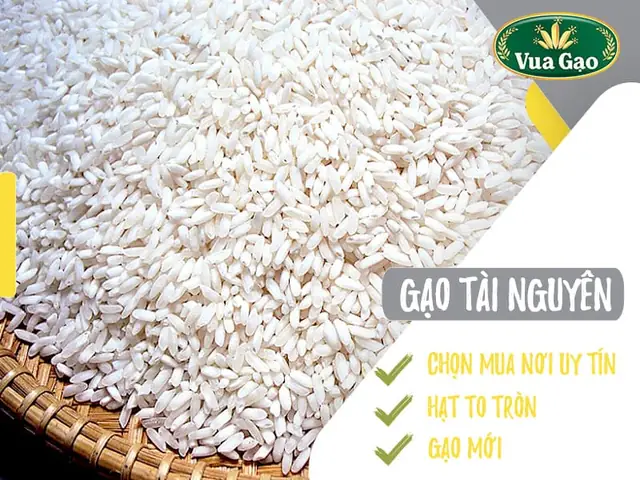 1.2. Tính chất gạo Tài Nguyên Chợ Đào 1.2. Tính chất gạo Tài Nguyên Chợ Đào