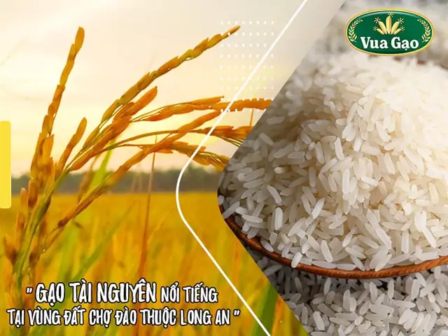 1.3. Lợi ích của Gạo Tài Nguyên 1.3. Lợi ích của Gạo Tài Nguyên