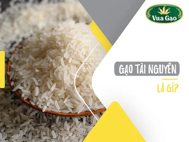 1.1. Gạo Tài Nguyên là gì? 1.1. Gạo Tài Nguyên là gì?
