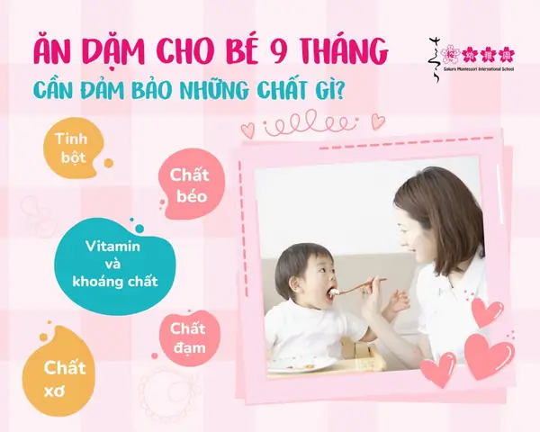 Món Ăn Dặm Cho Bé 9 Tháng Cần Bổ Sung Thực Phẩm Nào? Món Ăn Dặm Cho Bé 9 Tháng Cần Bổ Sung Thực Phẩm Nào?