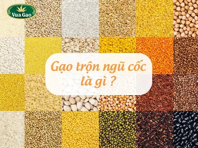 1. Gạo Trộn Ngũ Cốc Là Gì?