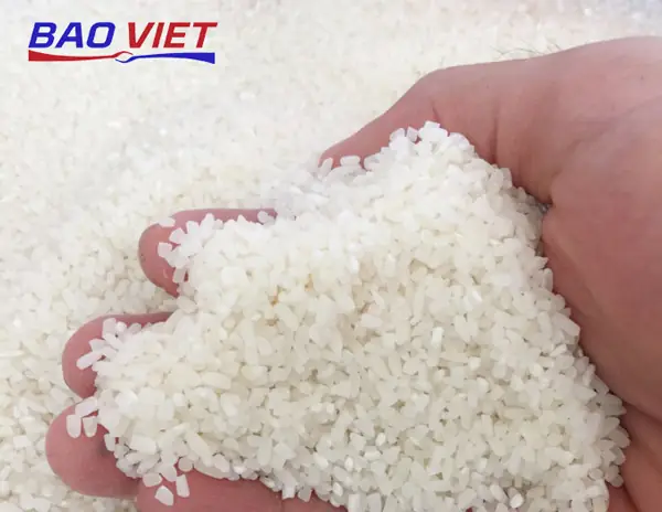 Gạo nấu cơm tấm là gạo gì? Cách chọn gạo nấu cơm tấm