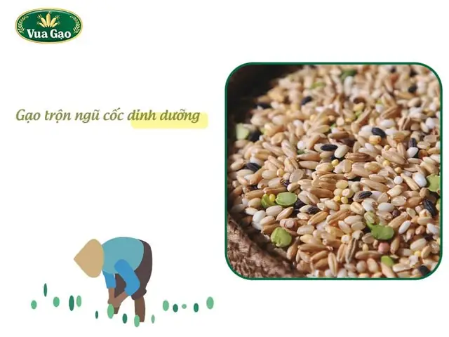 Xu Hướng Gạo Trộn Ngũ Cốc Đầy Dinh Dưỡng Cùng Chức Năng Mix Rice