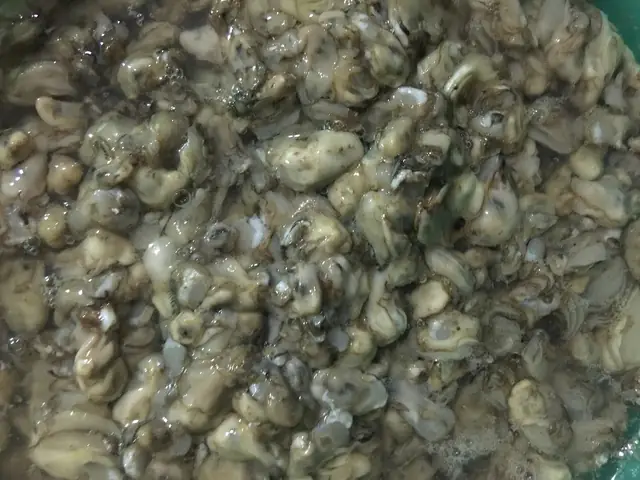 cách nấu con hà biển