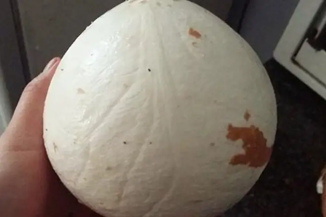 Cách Làm Nước Cốt Dừa Ăn Chè Đặc Sệt Nấu Từ Dừa Nạo