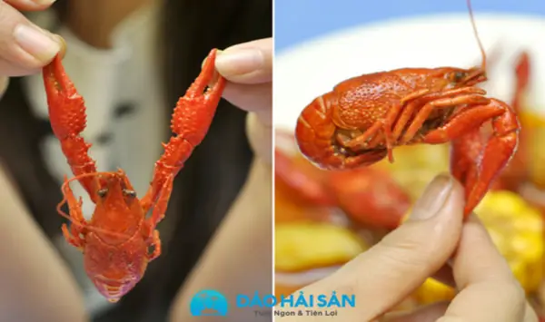 [BỎ TÚI] CÁCH LÀM CRAWFISH SỐT BƠ TỎI TRONG 20 PHÚT