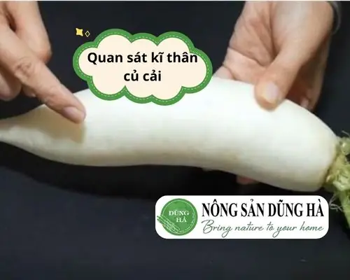 Cách Chọn Mua Củ Cải