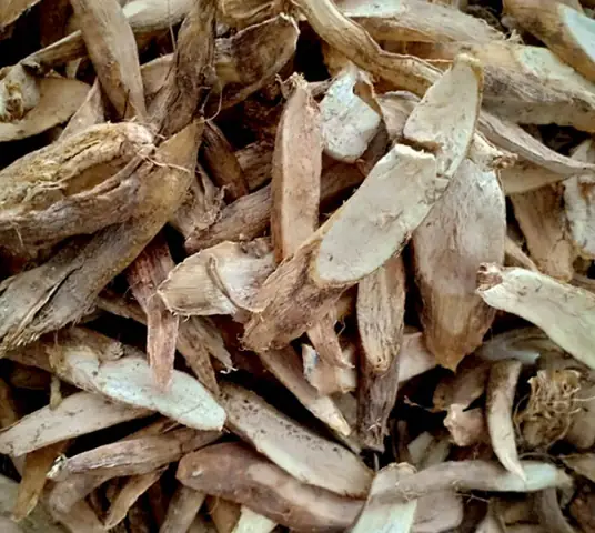 Củ Gai Khô Có Tác Dụng Gì Cho Bà Bầu, Cách Dùng Thế Nào? - 1