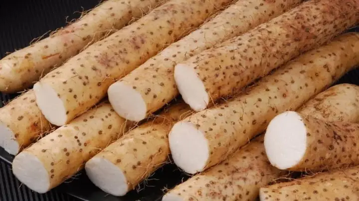 Cách nấu canh củ mài nấu tôm ngon mềm dẻo Cách nấu canh củ mài nấu tôm ngon mềm dẻo