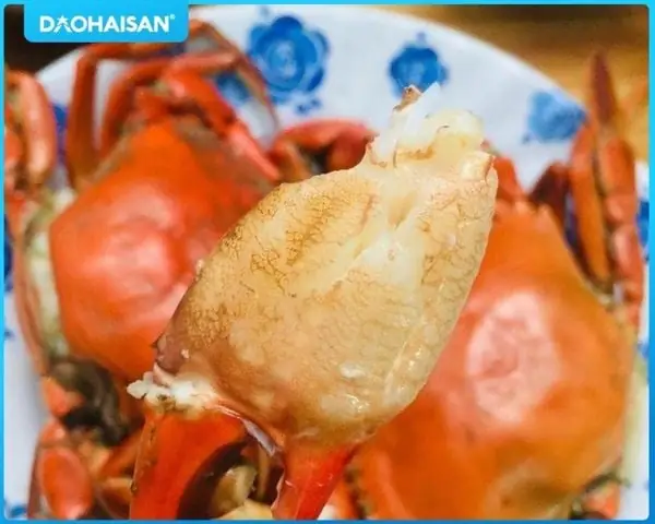 Cách Hấp Cua Cà Mau Nhanh, Chắc Thịt