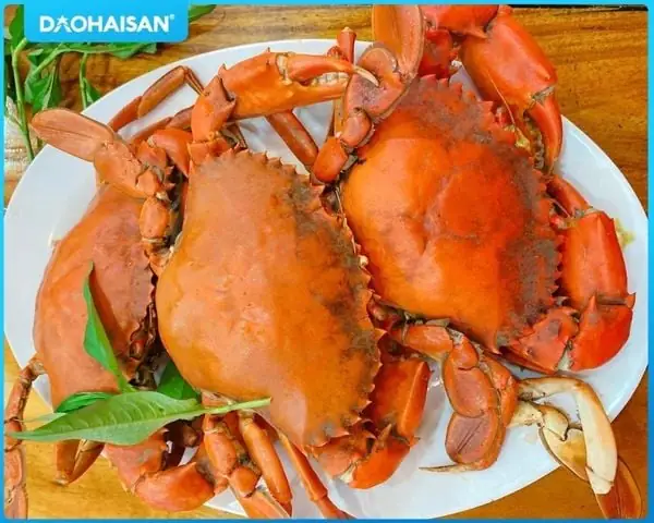 Tiến Hành Hấp Cua Biển