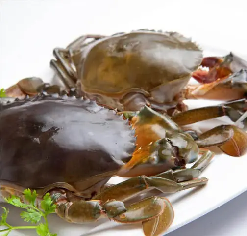 Bước 1. Sơ Chế Nguyên Liệu