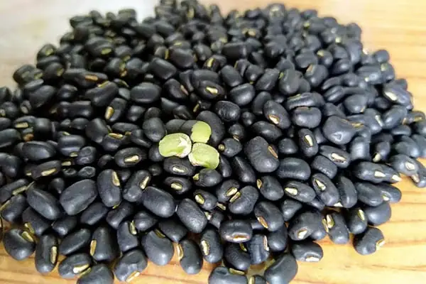 Cách Chọn Đậu Đen