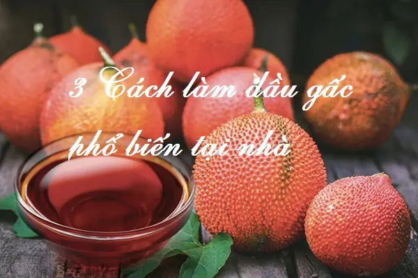 cach-lam-dau-gac-bang-dau-dua-nubeauty-1 cach-lam-dau-gac-bang-dau-dua-nubeauty-1