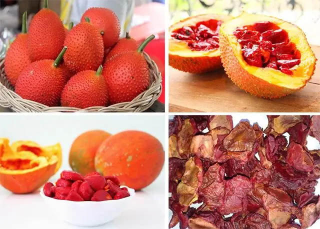 Cách Làm Dầu Gấc Nguyên Chất Tại Nhà Cực Dễ Dàng Và Tiết Kiệm Thời Gian Chi Phí. Với Cách Làm Dưới Đây Bạn Sẽ Chiết Xuất Thành Công Cho Mình Một Lượng Dầu Từ Trái Gấc Mà Không Sợ Bị Pha Lẫn Nhiều Thành Phần Khác Nhau Khi Mua Ở Bên Ngoài.