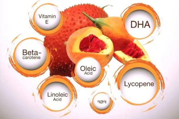 Vitamin Và Khoáng Chất Vitamin Và Khoáng Chất